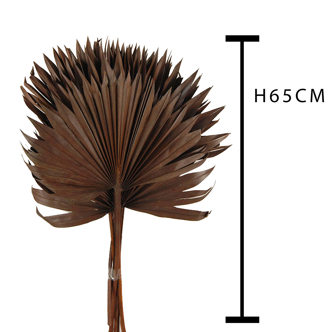 4 Pezzi • Palm sun cut 5 mazzi da 7 pezzi colorate • 65 cm