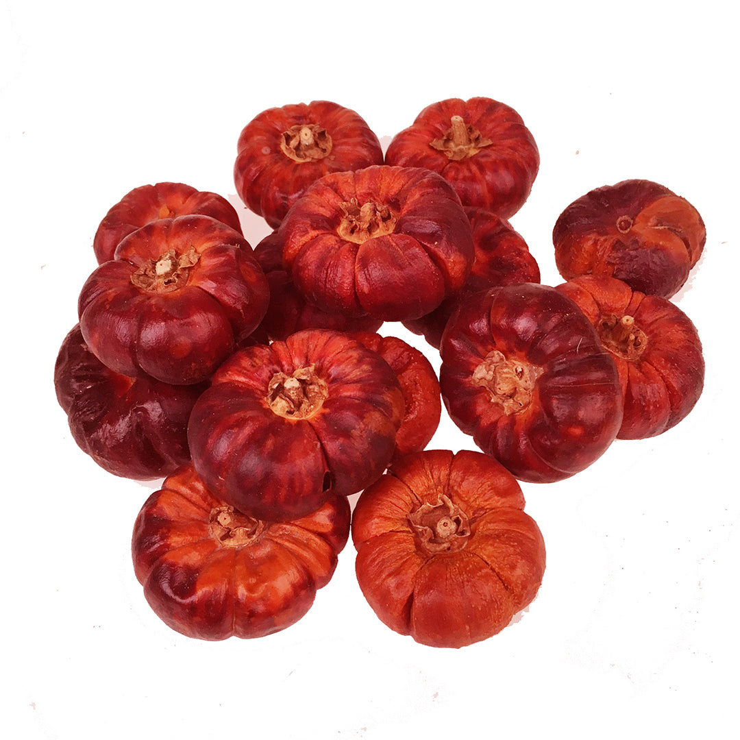 4 Pezzi • Zucche Piccole 15 Pz Sacco • 15 cm