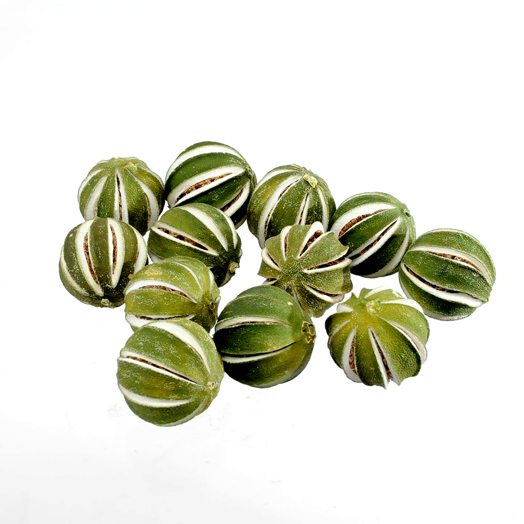 3 Pezzi • Aranci Interi 250 Gr circa • 20 cm