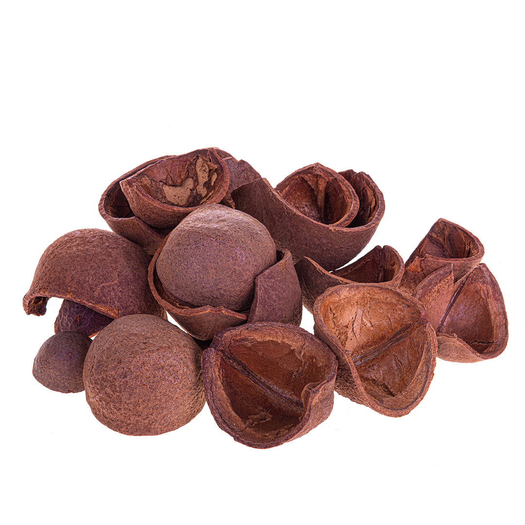 4 Pezzi • Mezza "Noce" 20 Pz Sacco Naturale • 8 cm