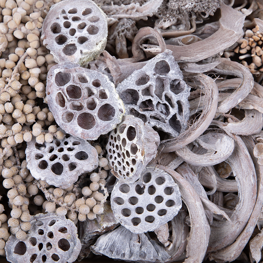 2 Pezzi • Vassoio Essiccato Misto • 7 cm