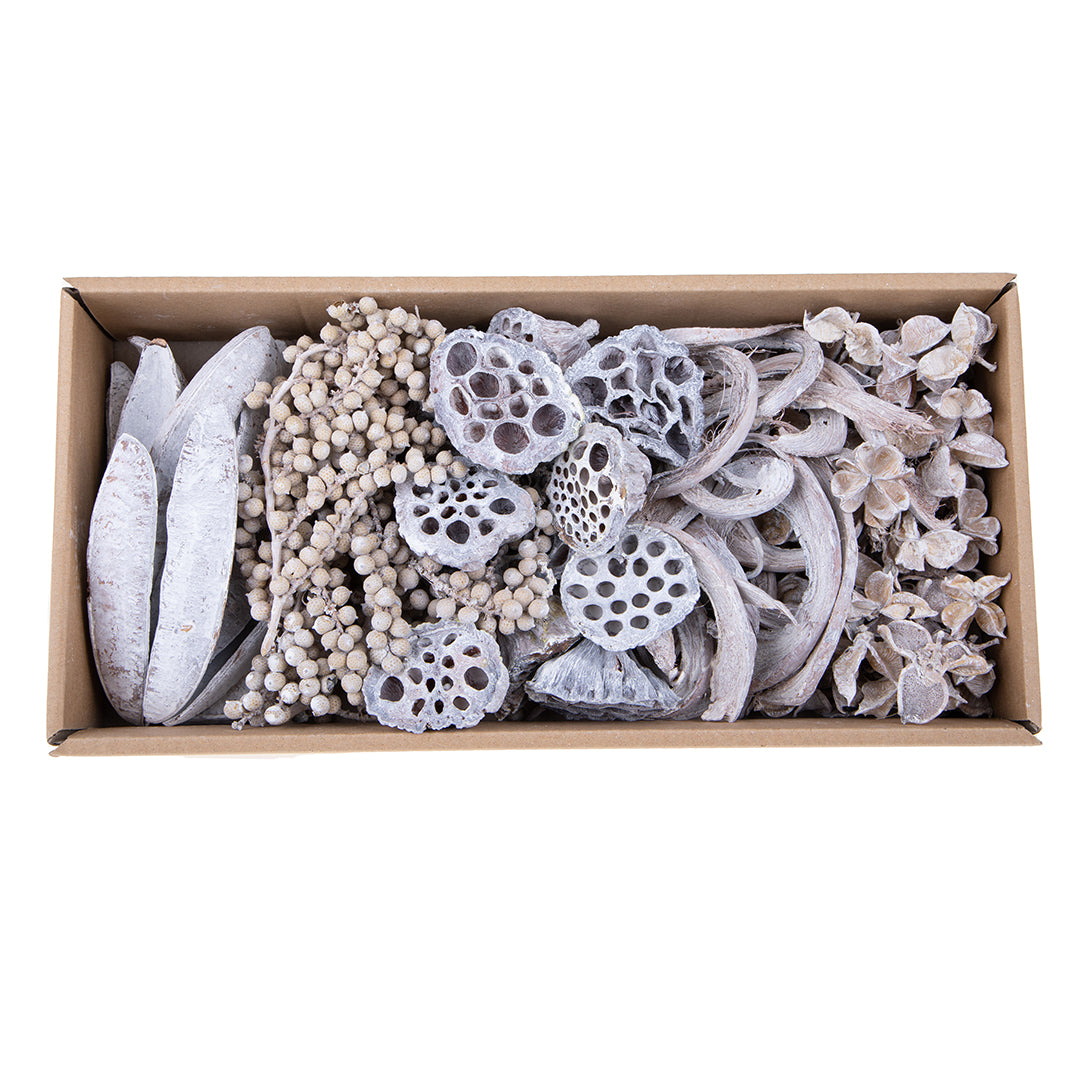 2 Pezzi • Vassoio Essiccato Misto • 7 cm