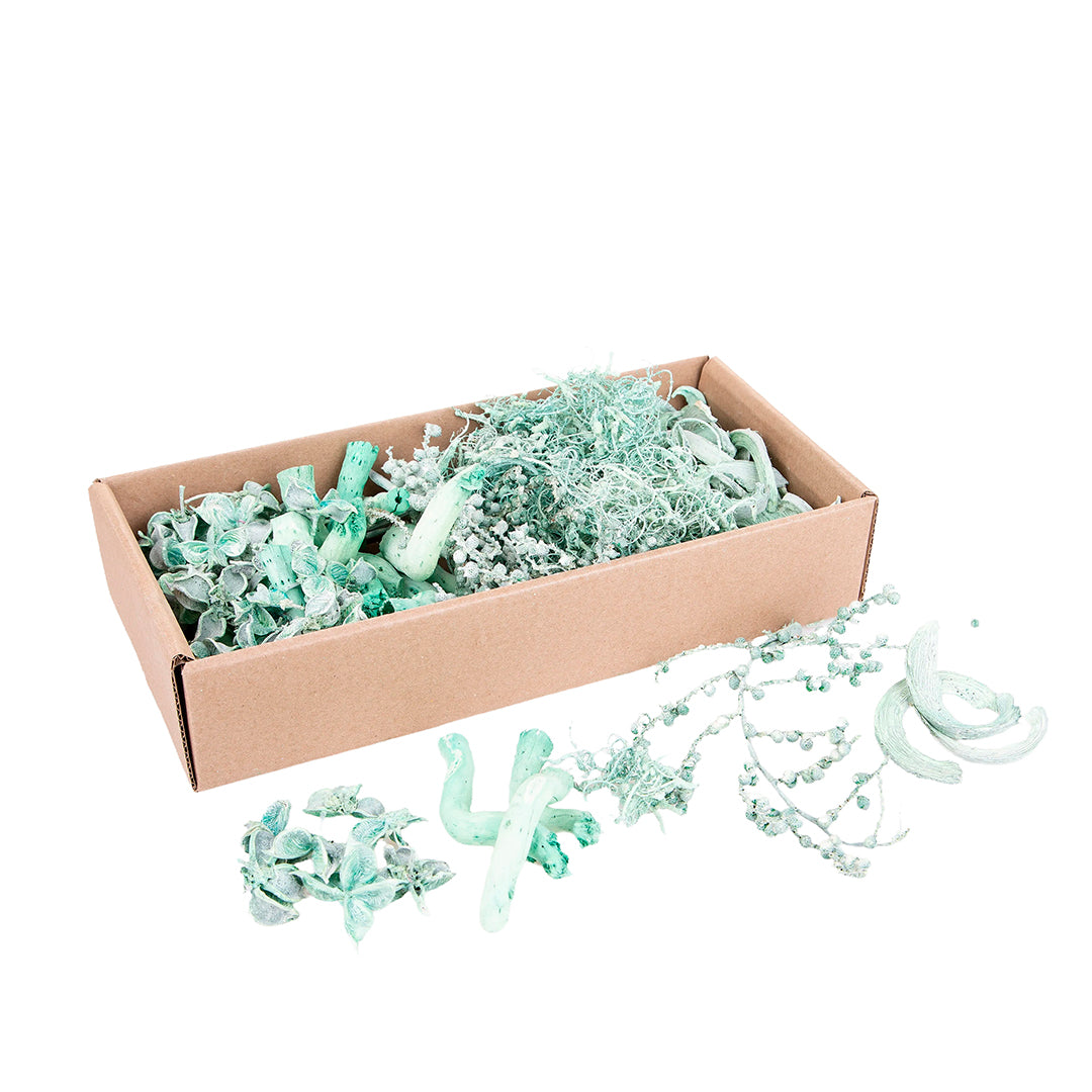 2 Pezzi • Vassoio Essiccato Misto • 7,5 cm