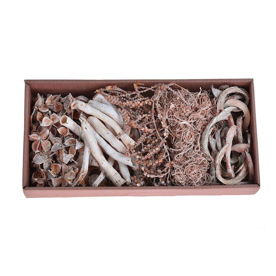 2 Pezzi • Vassoio Essiccato Misto • 7,5 cm