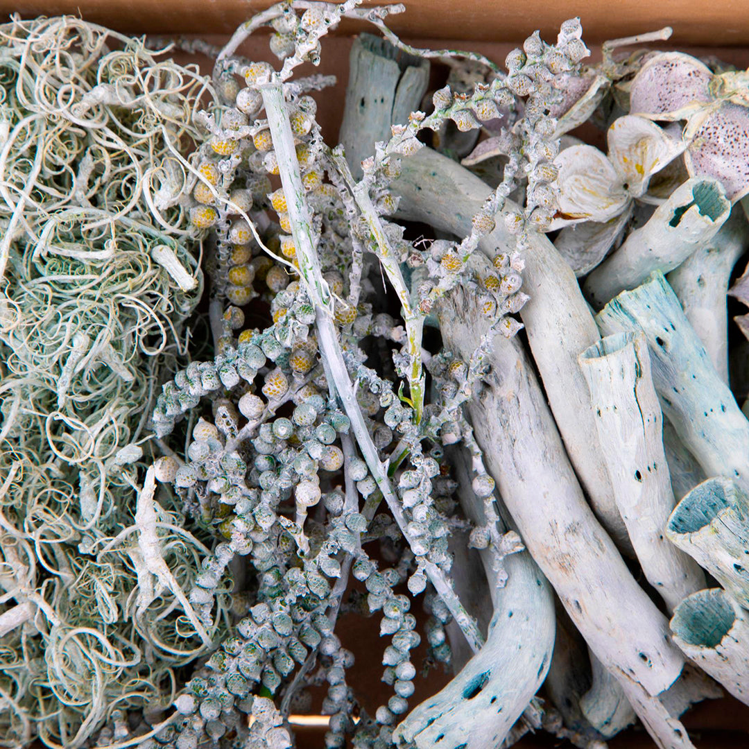 2 Pezzi • Vassoio Essiccato Misto • 7 cm