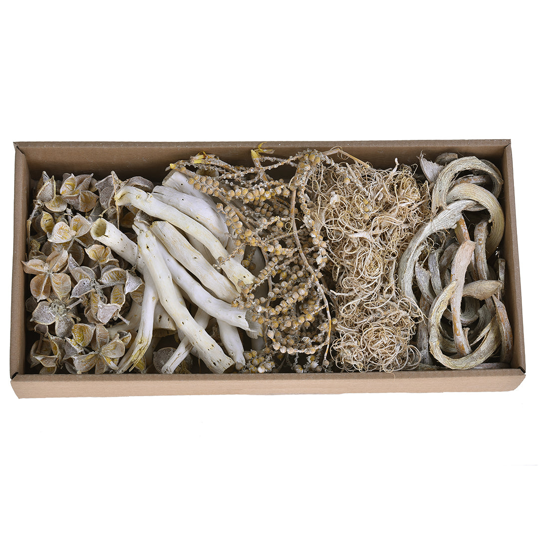 2 Pezzi • Vassoio Essiccato Misto • 7 cm