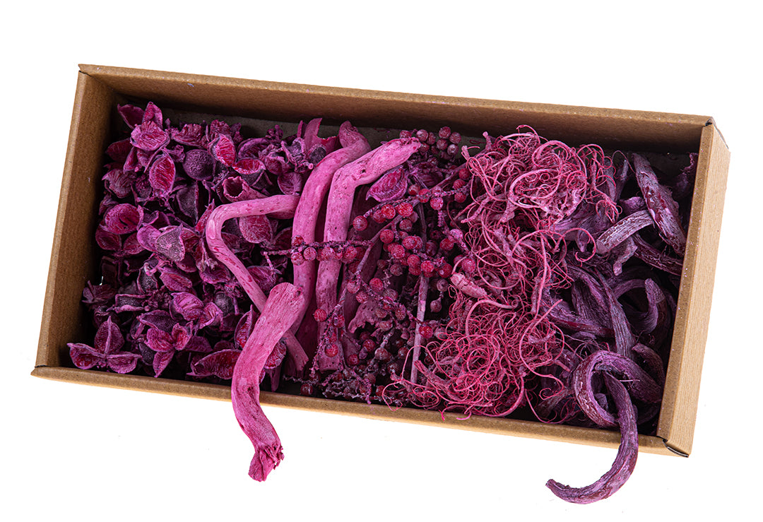 2 Pezzi • Vassoio Essiccato Misto • 7 cm