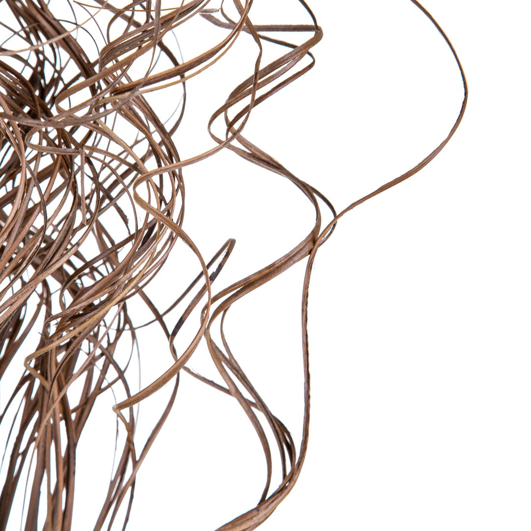 12 Pezzi • Ting ting marrone • 7,9 cm