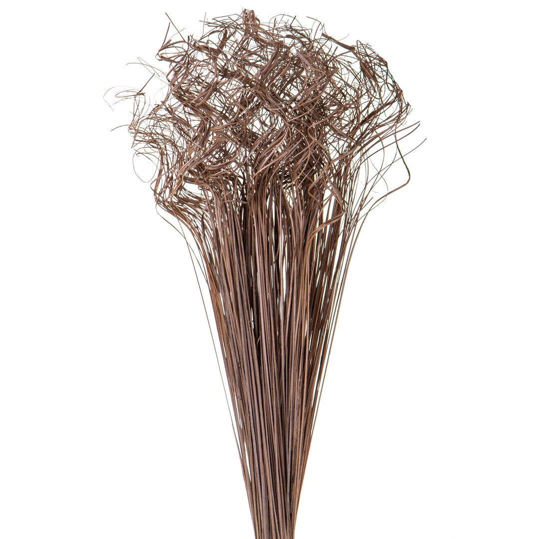 12 Pezzi • Ting ting marrone • 7,9 cm