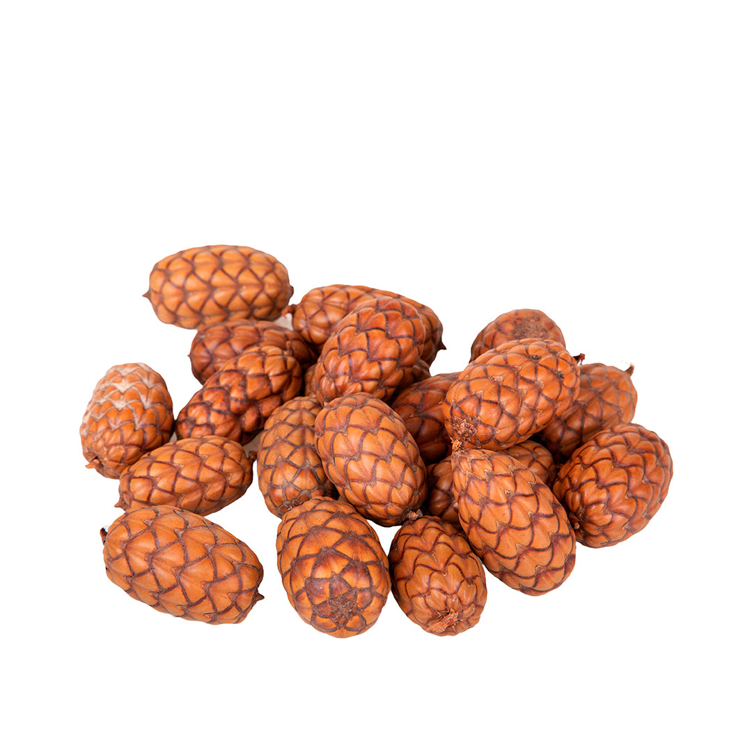 4 Pezzi • Uxi 20 Pz a Sacco • 4 cm
