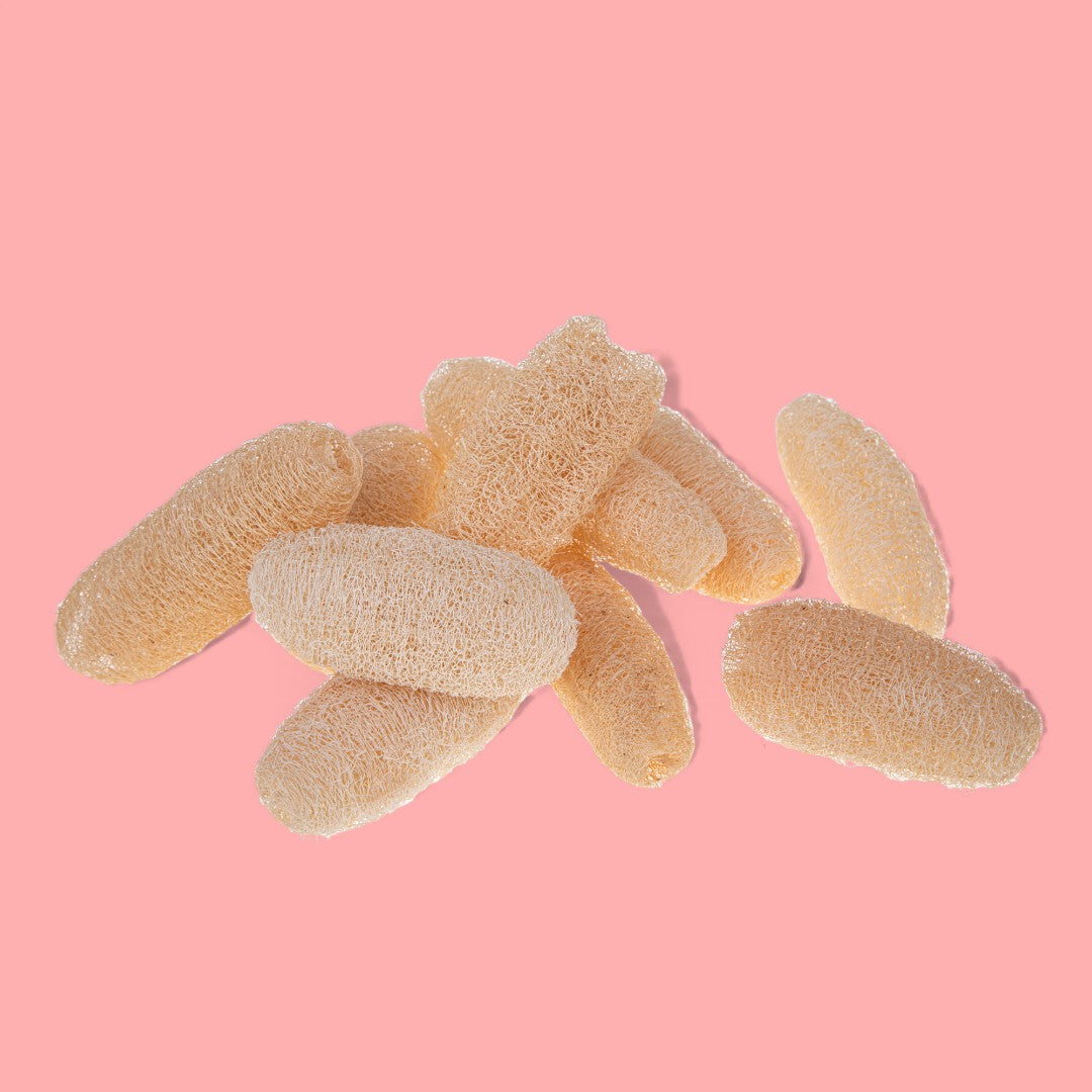 6 Pezzi • Luffa 10/14 Cm 10 Pz Bianca Sacco • 27 cm