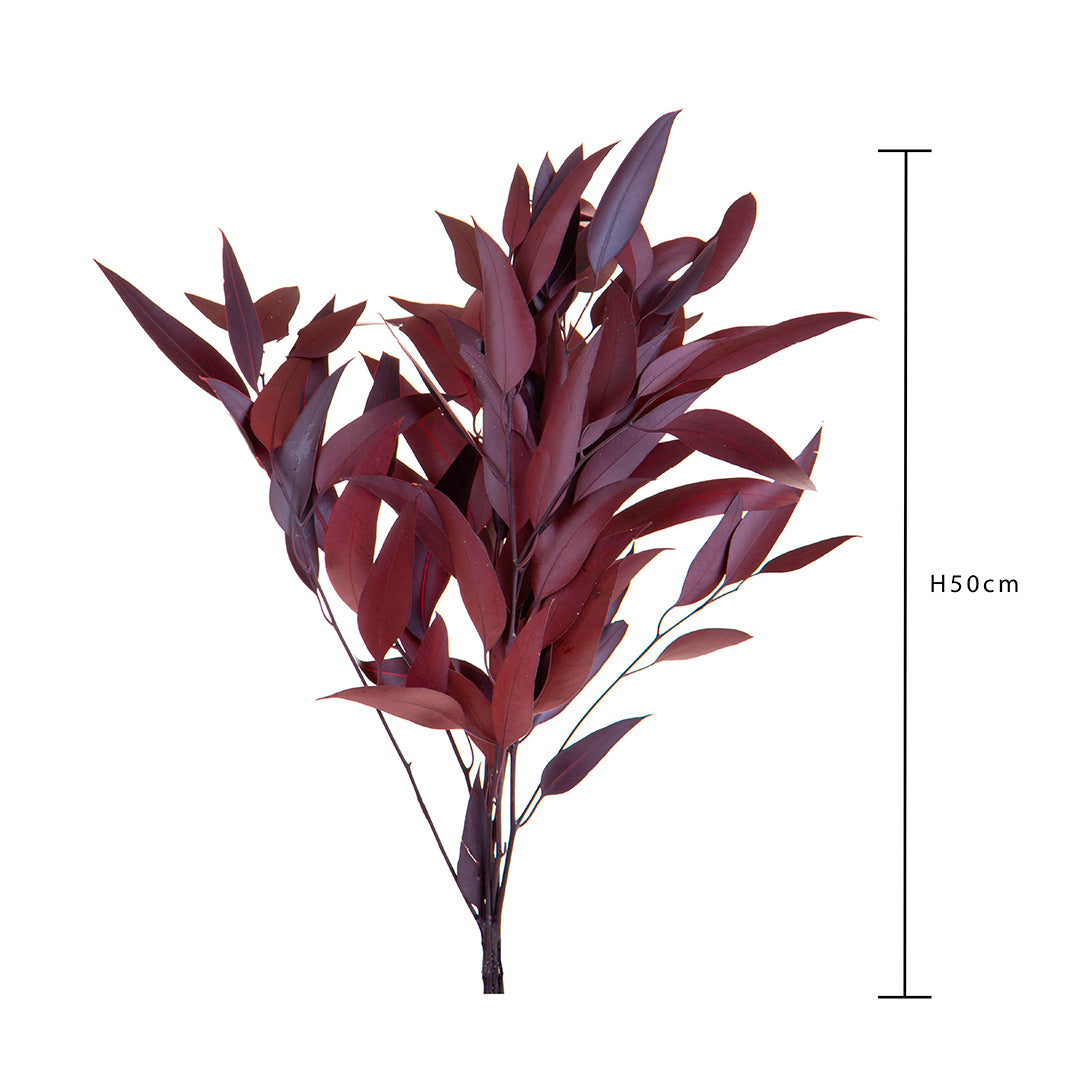 2 Pezzi • Eucalyptus willow preservato • 75 cm