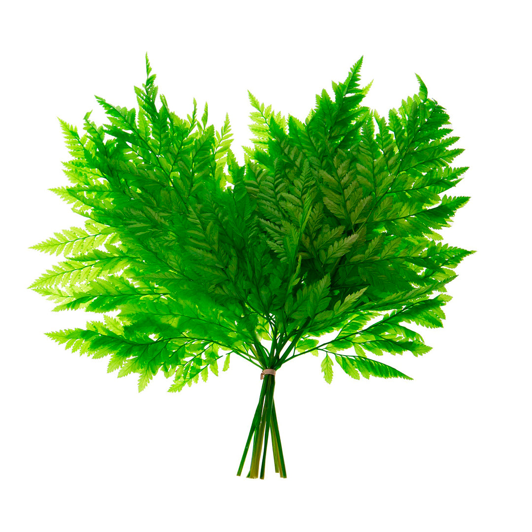 2 Pezzi • Felce 3 mazzi da 10 pezzi colorata preservata • 45 cm