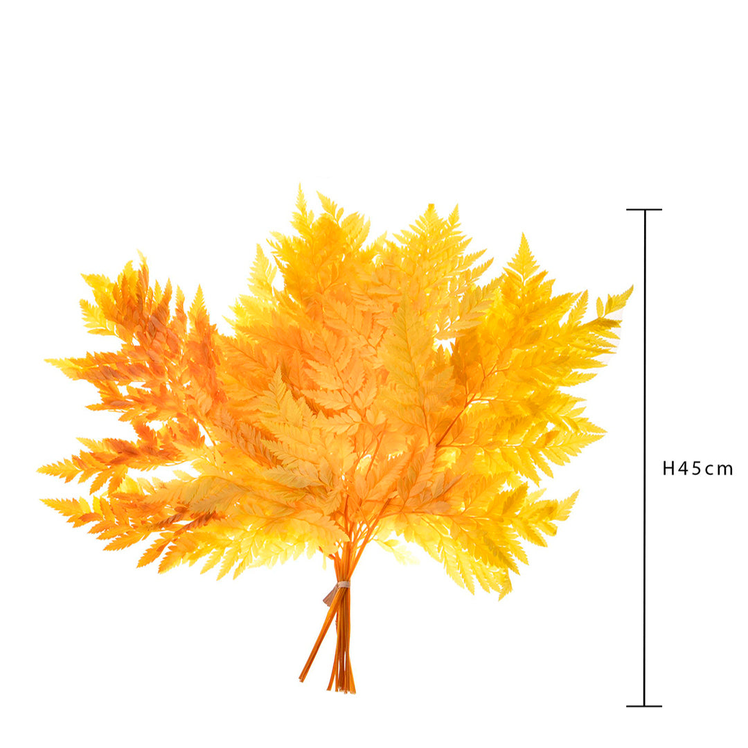 2 Pezzi • Felce 3 mazzi da 10 pezzi colorata preservata • 45 cm