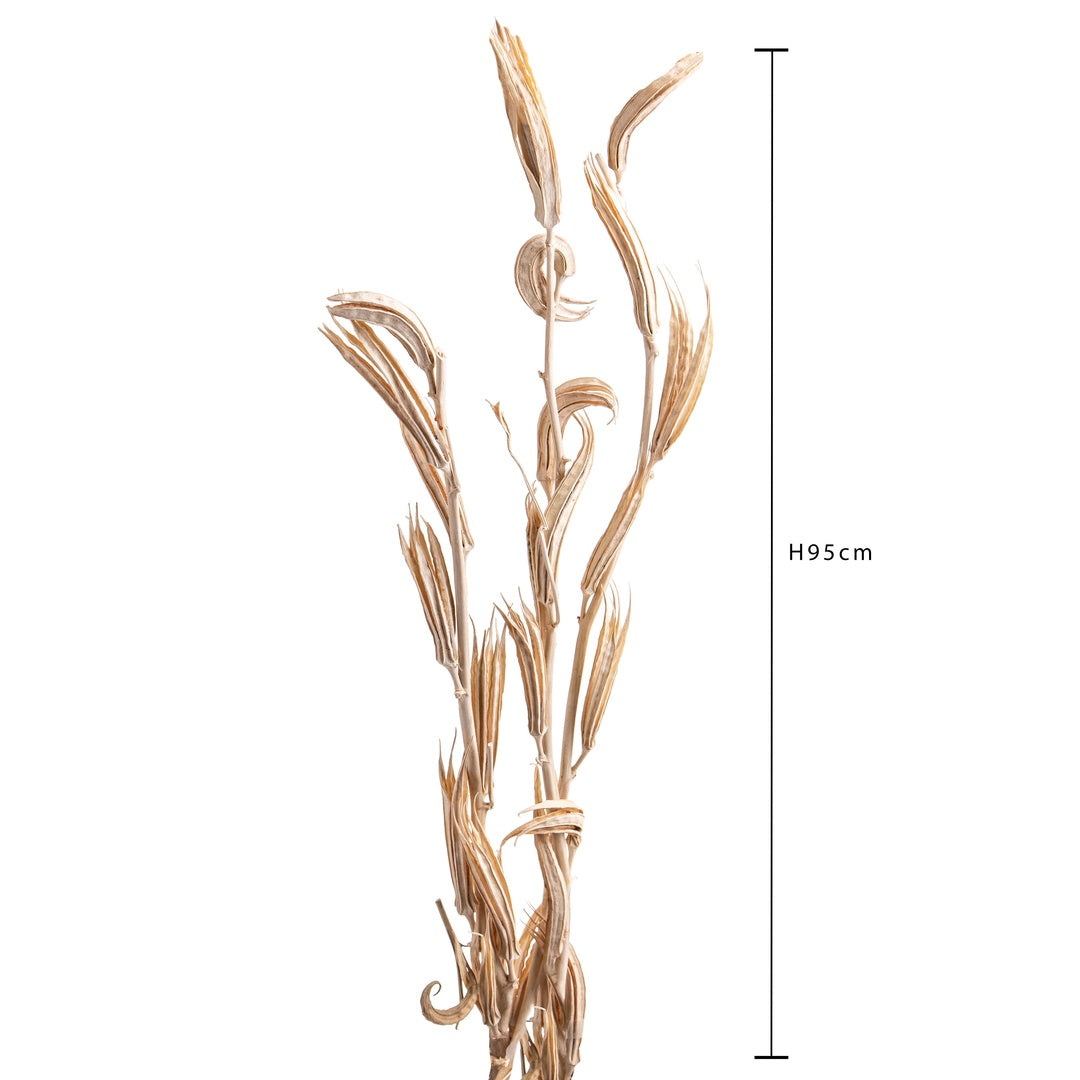 2 Pezzi • Okura 3 mazzi da 3 pezzi sbiancata • 94 cm