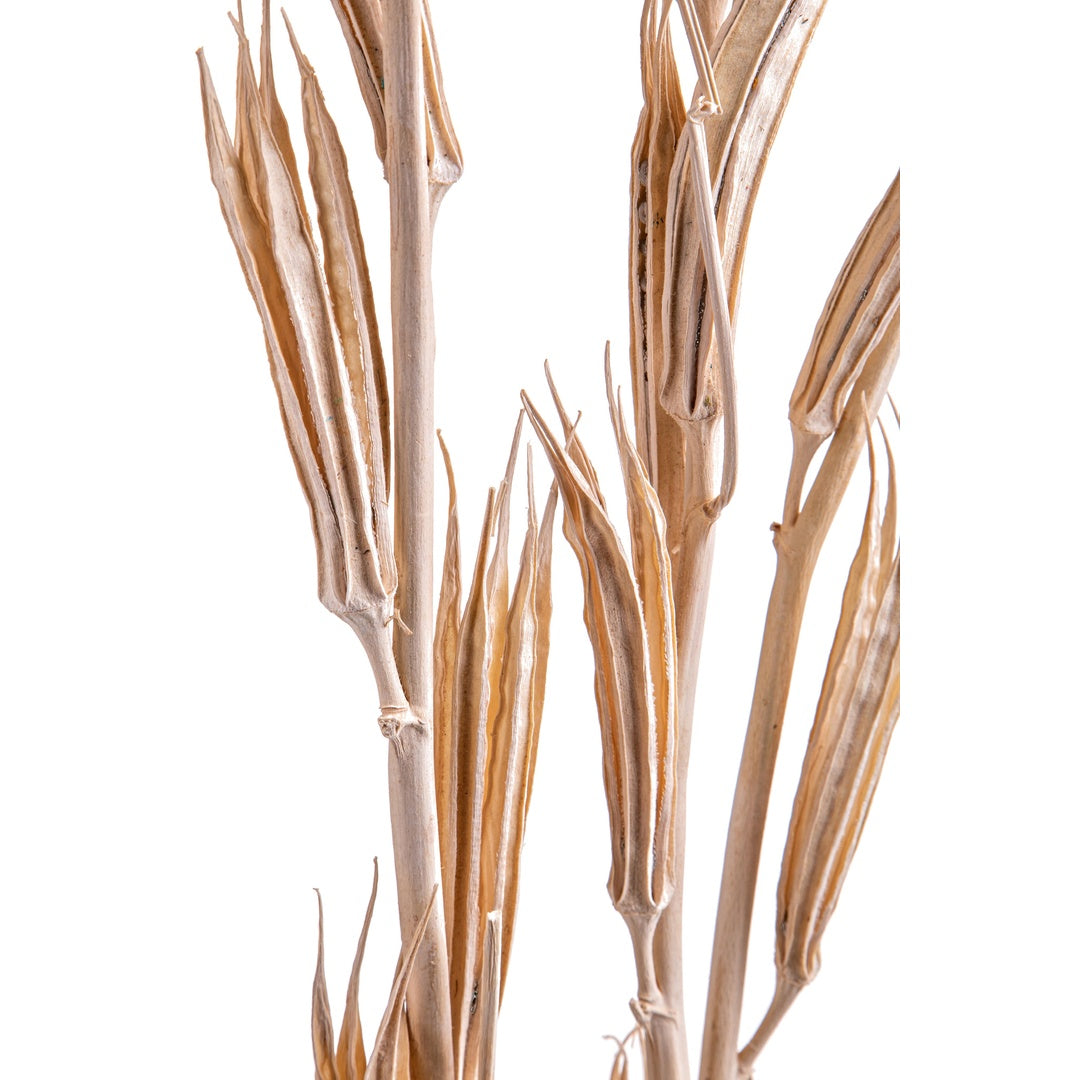 2 Pezzi • Okura 3 mazzi da 3 pezzi sbiancata • 94 cm