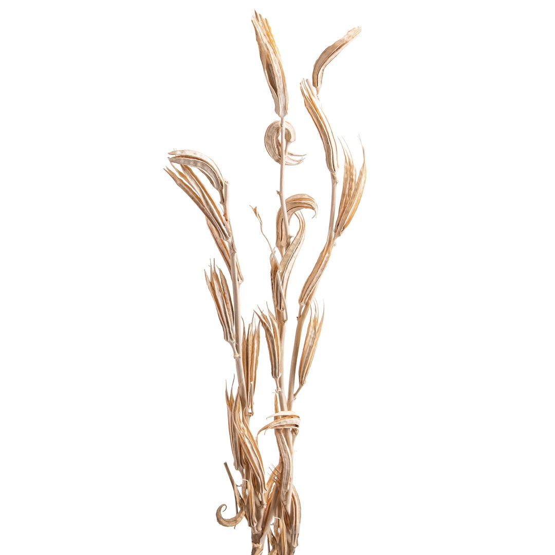 2 Pezzi • Okura 3 mazzi da 3 pezzi sbiancata • 94 cm