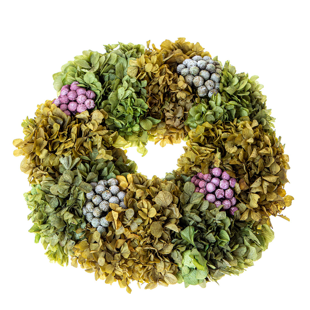 Corona ortensie preservate • 30 cm