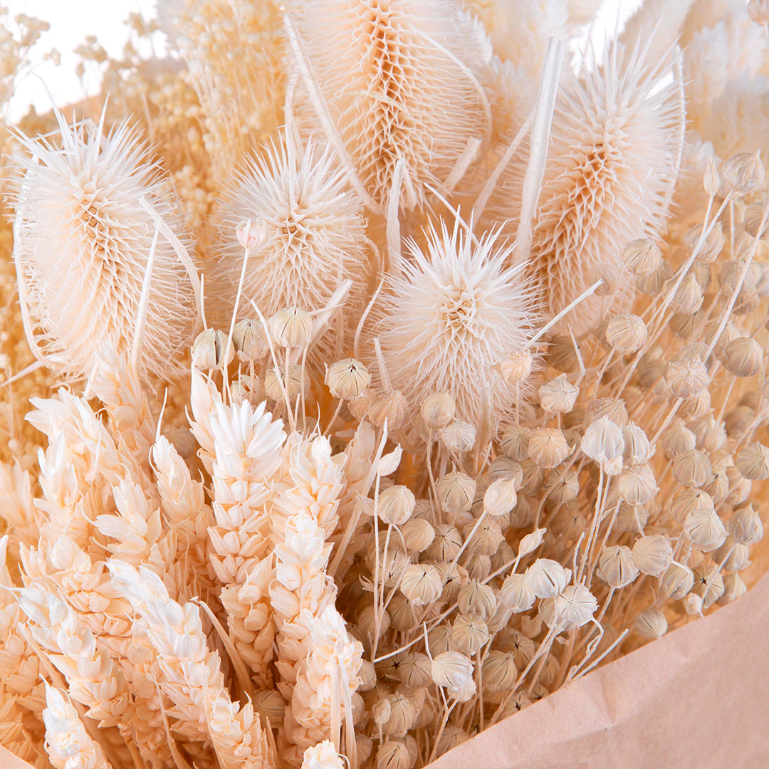 Mazzo con erbe assortite carta sbiancato • 30 cm