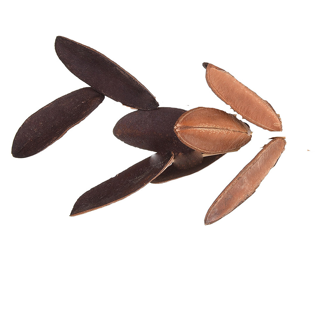 4 Pezzi • Foglia Triangolar 20 Pz in Rete • 12 cm