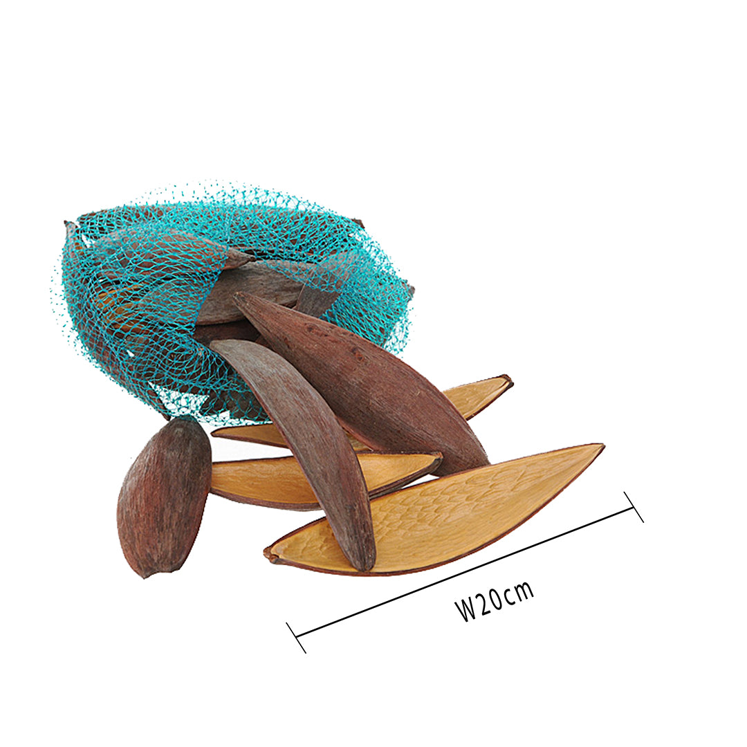 4 Pezzi • Canoinha naturale 25 Pz in Rete • 12 cm