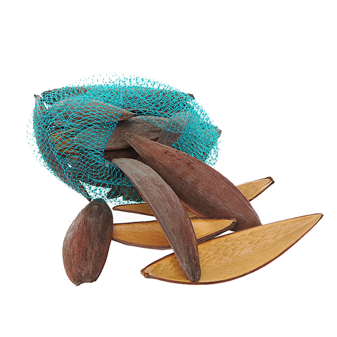 4 Pezzi • Canoinha naturale 25 Pz in Rete • 12 cm