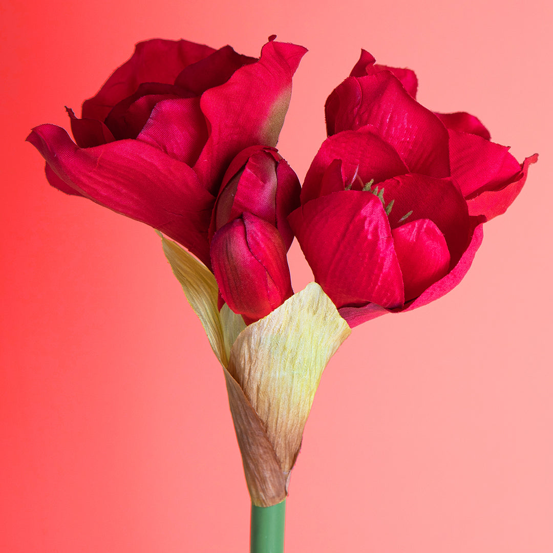 3 Pezzi • Fiore di amaryllis artificiale • 760 cm