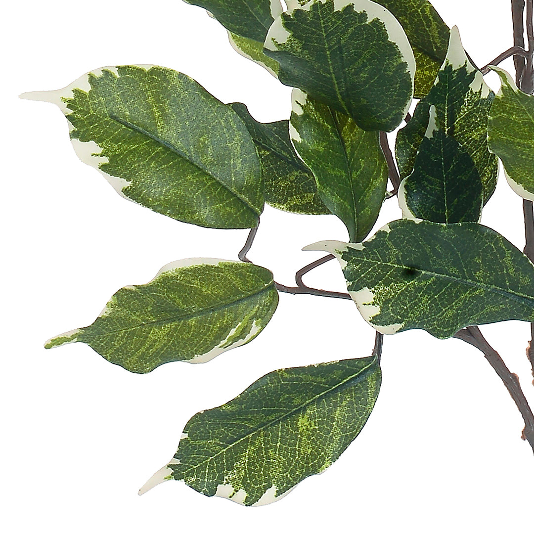 8 Pezzi • Ramo di ficus con 42 foglie artificiale • 60 cm