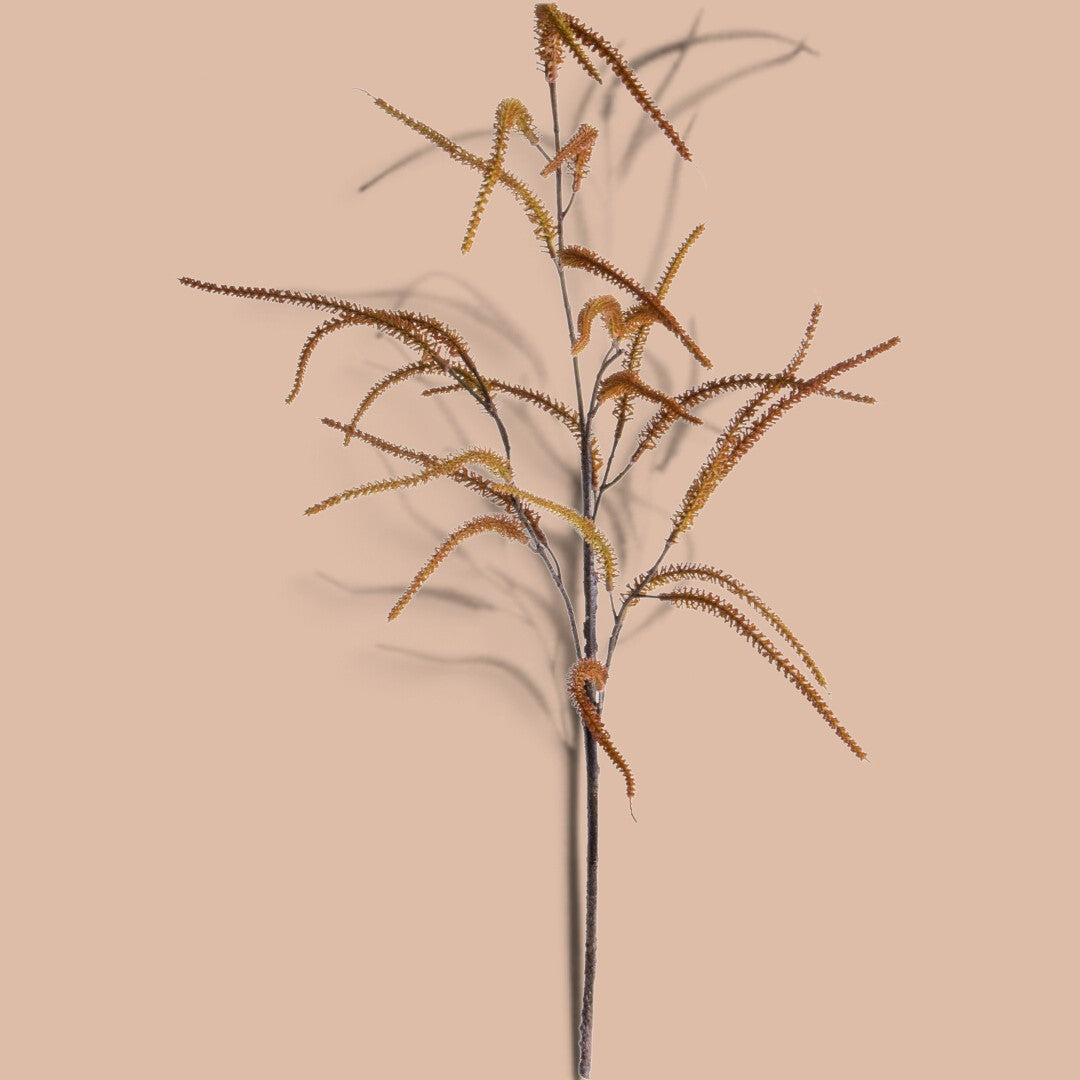 6 Pezzi • Nocciolo In Fiore • 89 cm