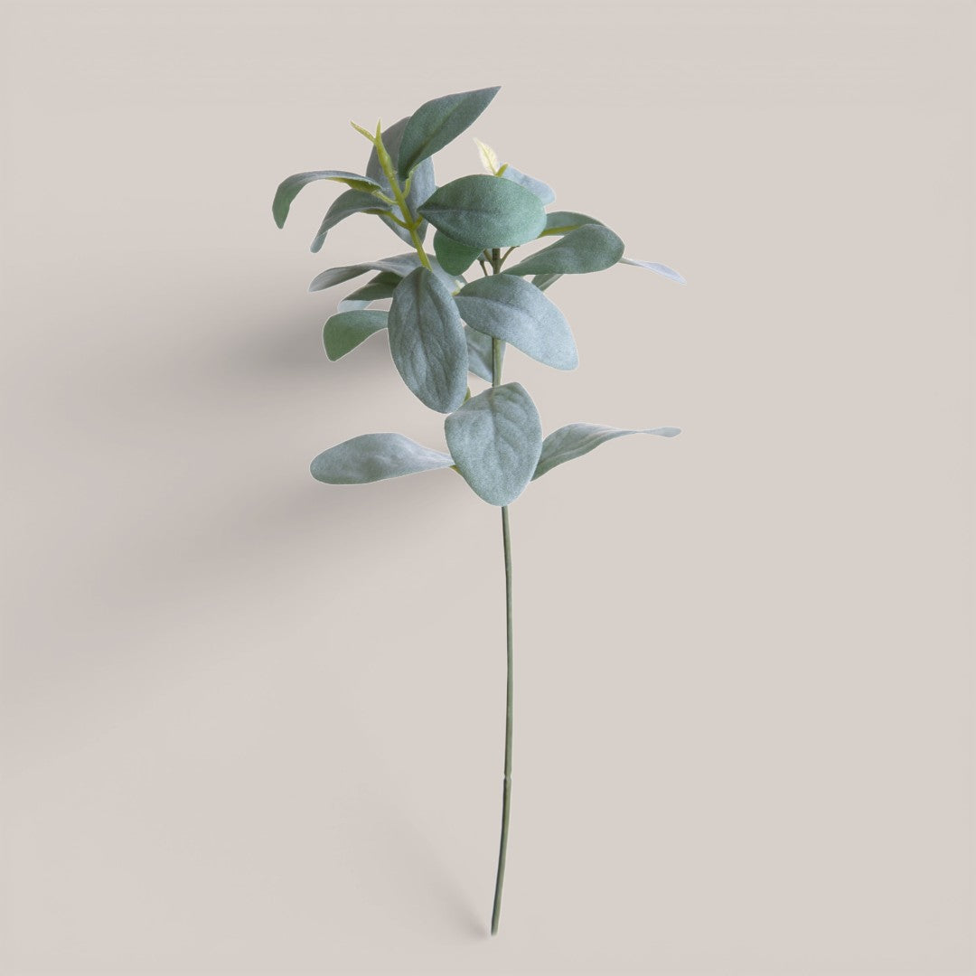 Ramo Salvia • 49cm
