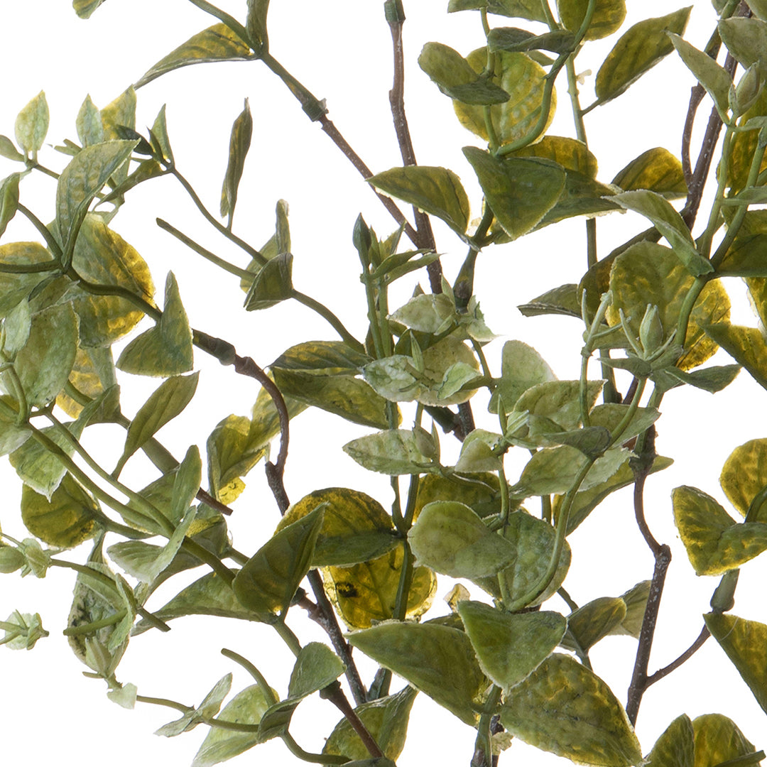 2 Pezzi • Ruscus orientale artificiale • 68 cm