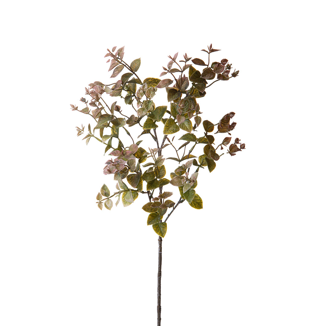 2 Pezzi • Ruscus orientale artificiale • 68 cm