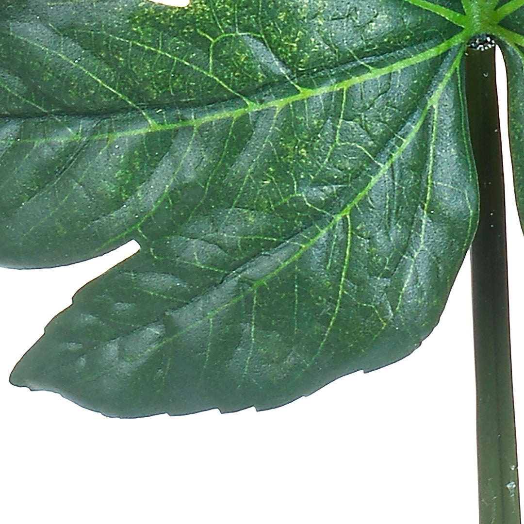 2 Pezzi • Foglia di aralia artificiale • 75 cm