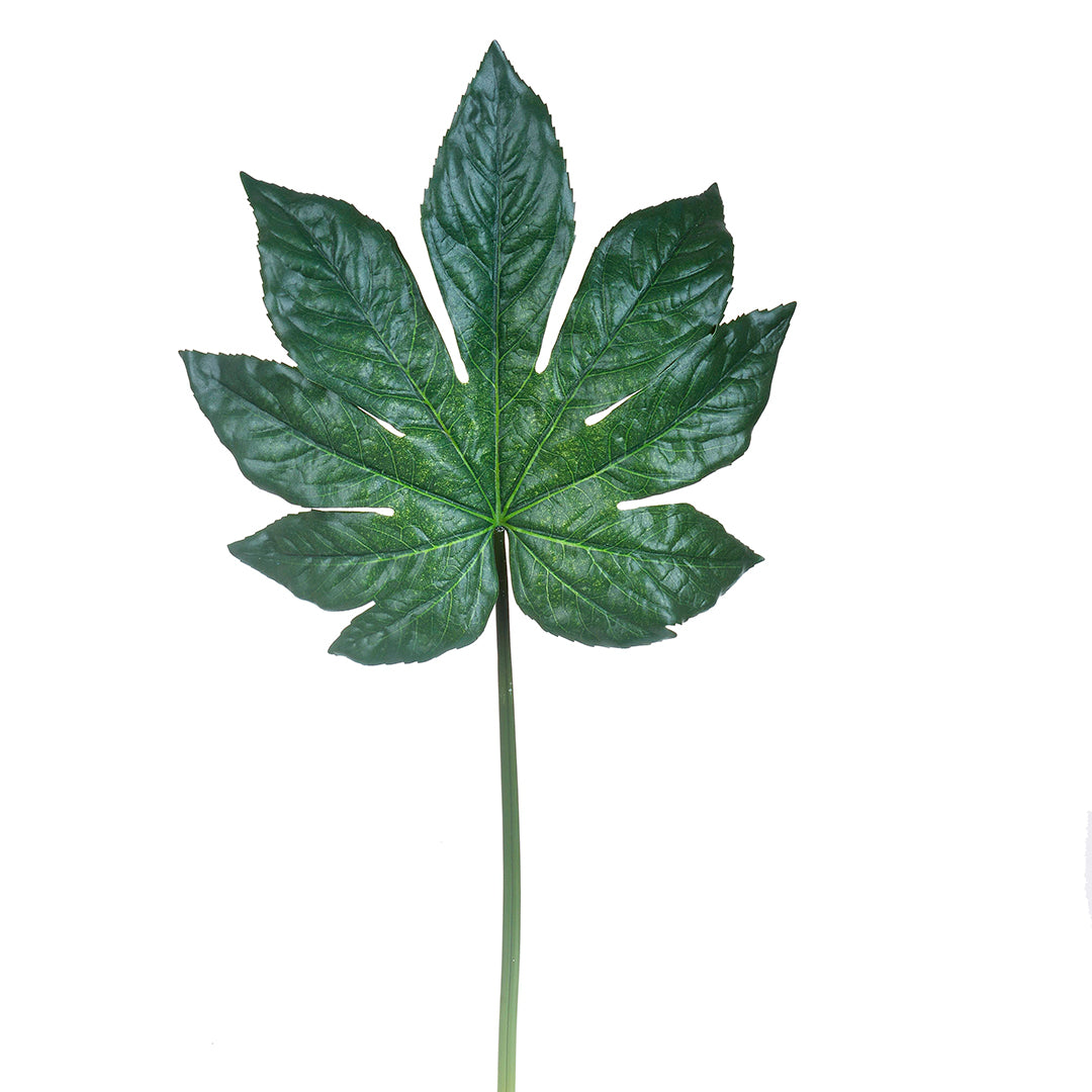 2 Pezzi • Foglia di aralia artificiale • 75 cm