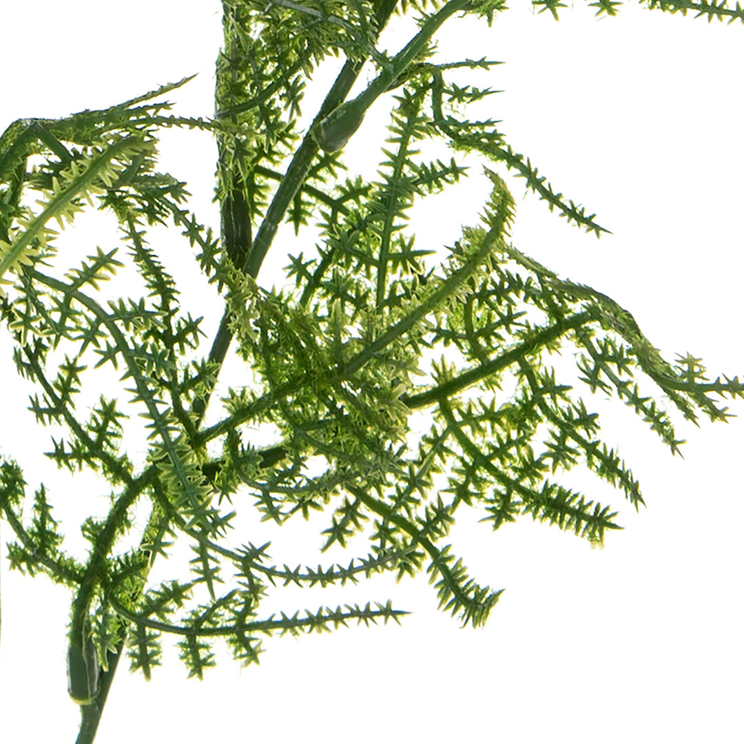 4 Pezzi • Asparagus artificiale • 70 cm