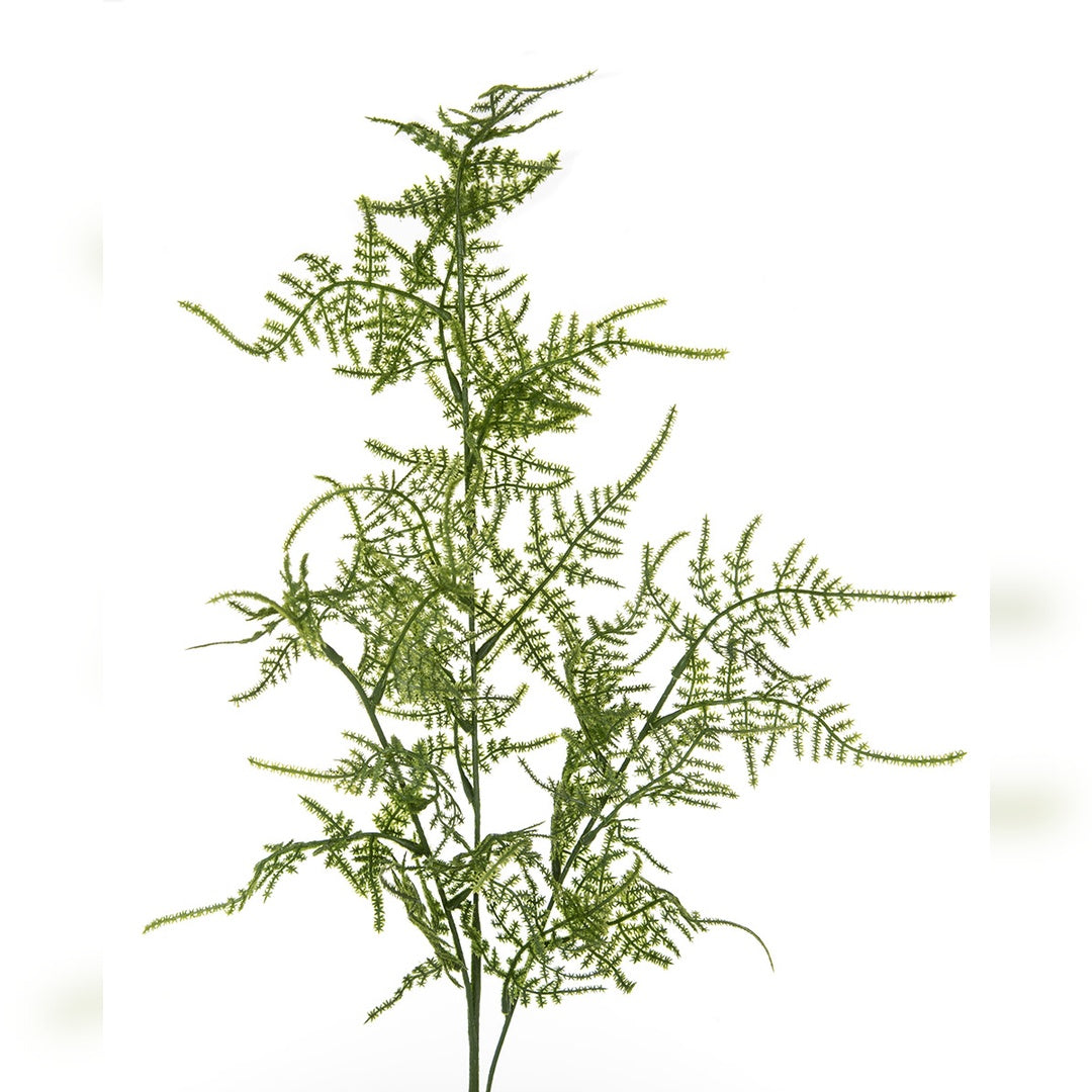 4 Pezzi • Asparagus artificiale • 70 cm