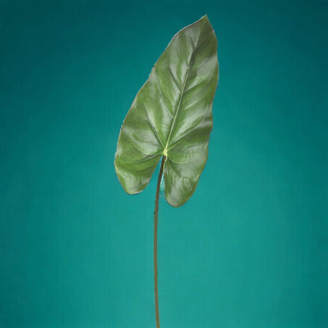 4 Pezzi • Foglia di calla artificiale • 74 cm