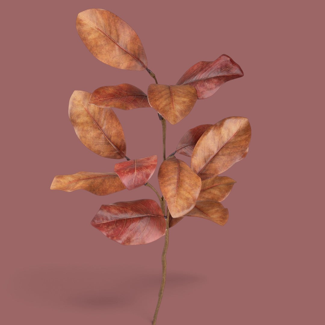 Pezzi 12 • Magnolia ramo • H 74 cm