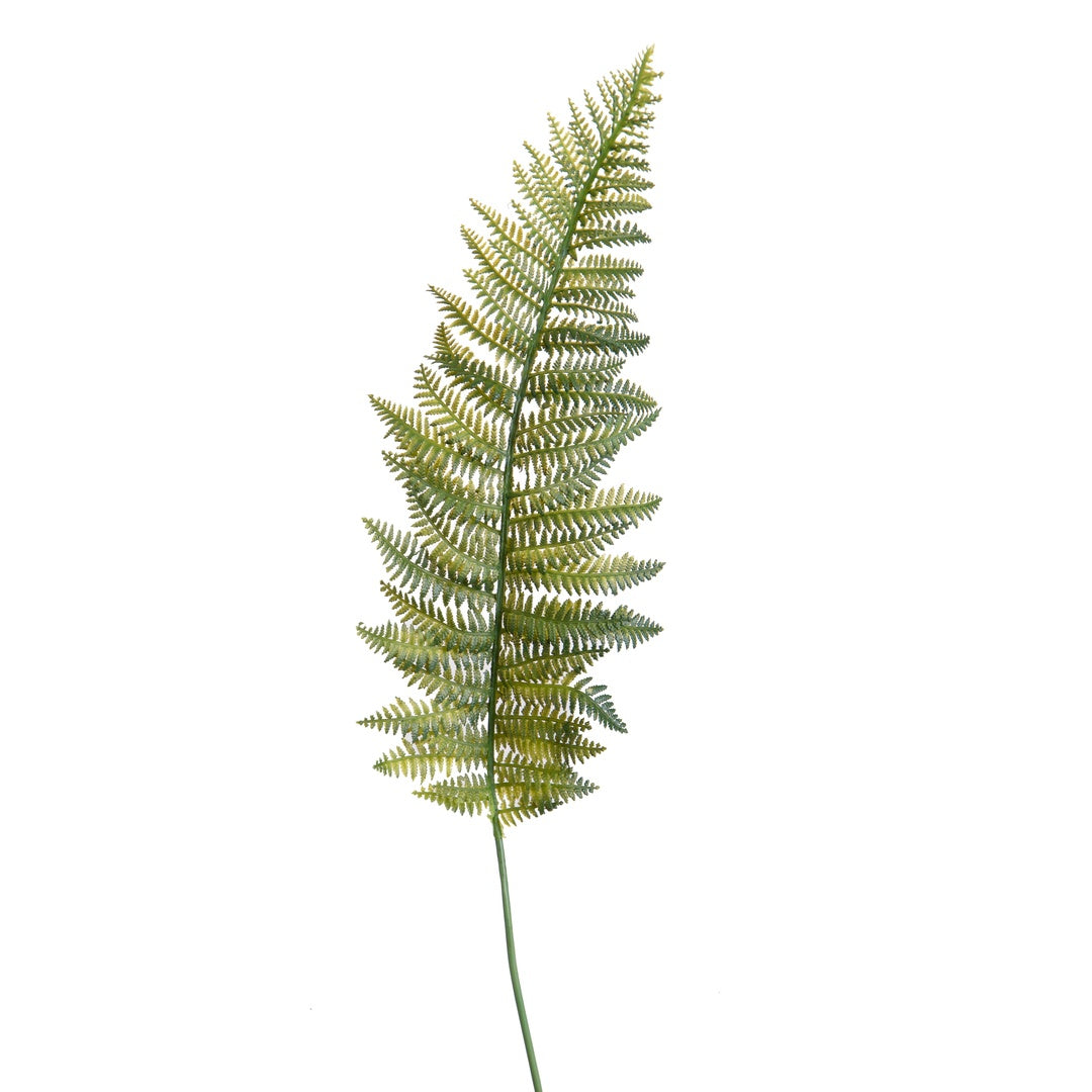 12 Pezzi • Felce singola artificiale • 55 cm