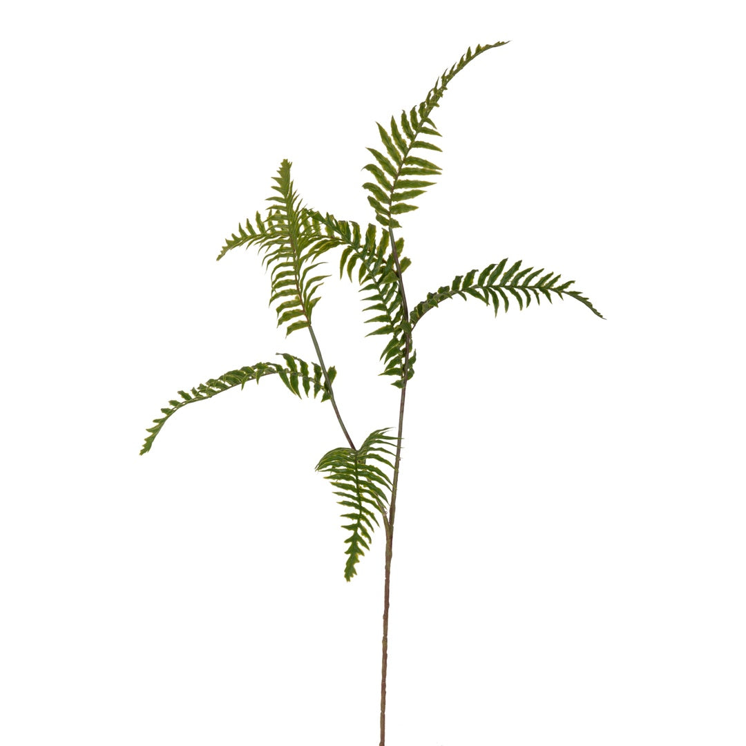 4 Pezzi • Foglia di felce artificiale • 73 cm