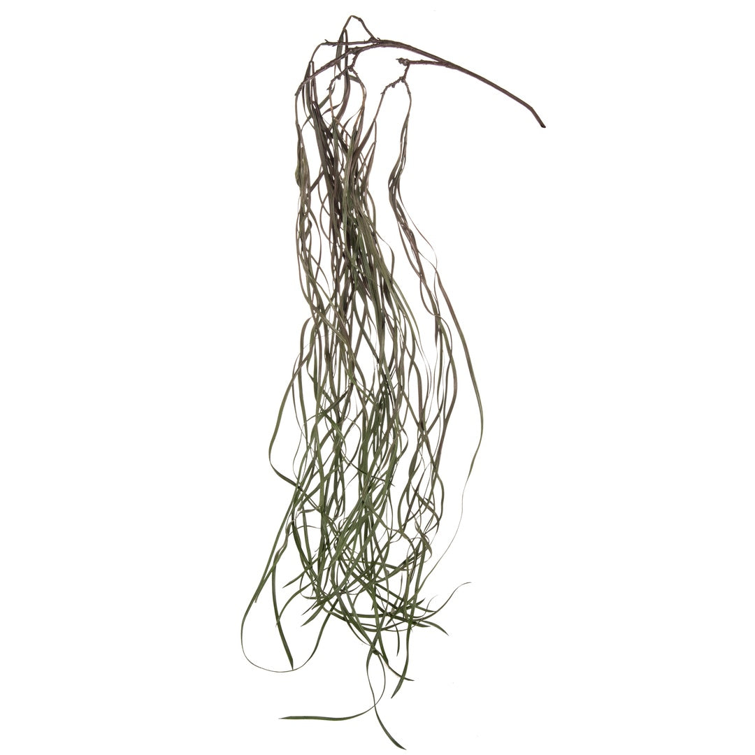 2 Pezzi • Ramo di bear grass cadente artificiale • 152 cm