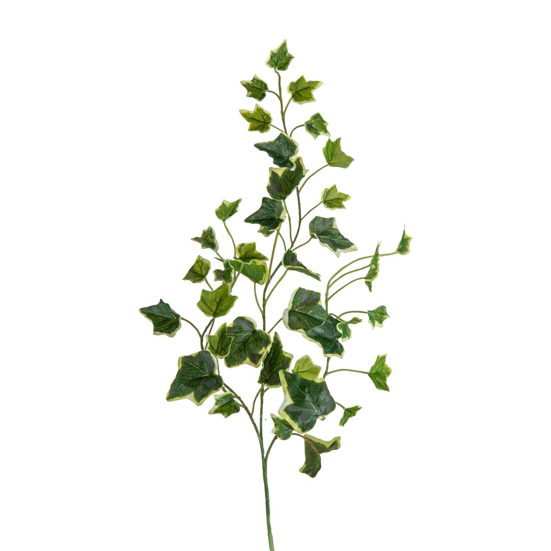 2 Pezzi • Real touch tralcio ederina artificiale • 60 cm