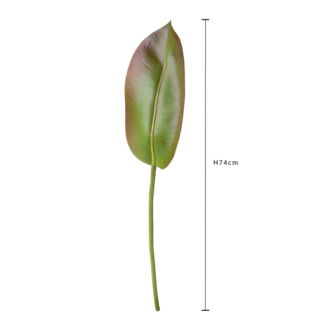 2 Pezzi • Foglia ficus artificiale • 74 cm