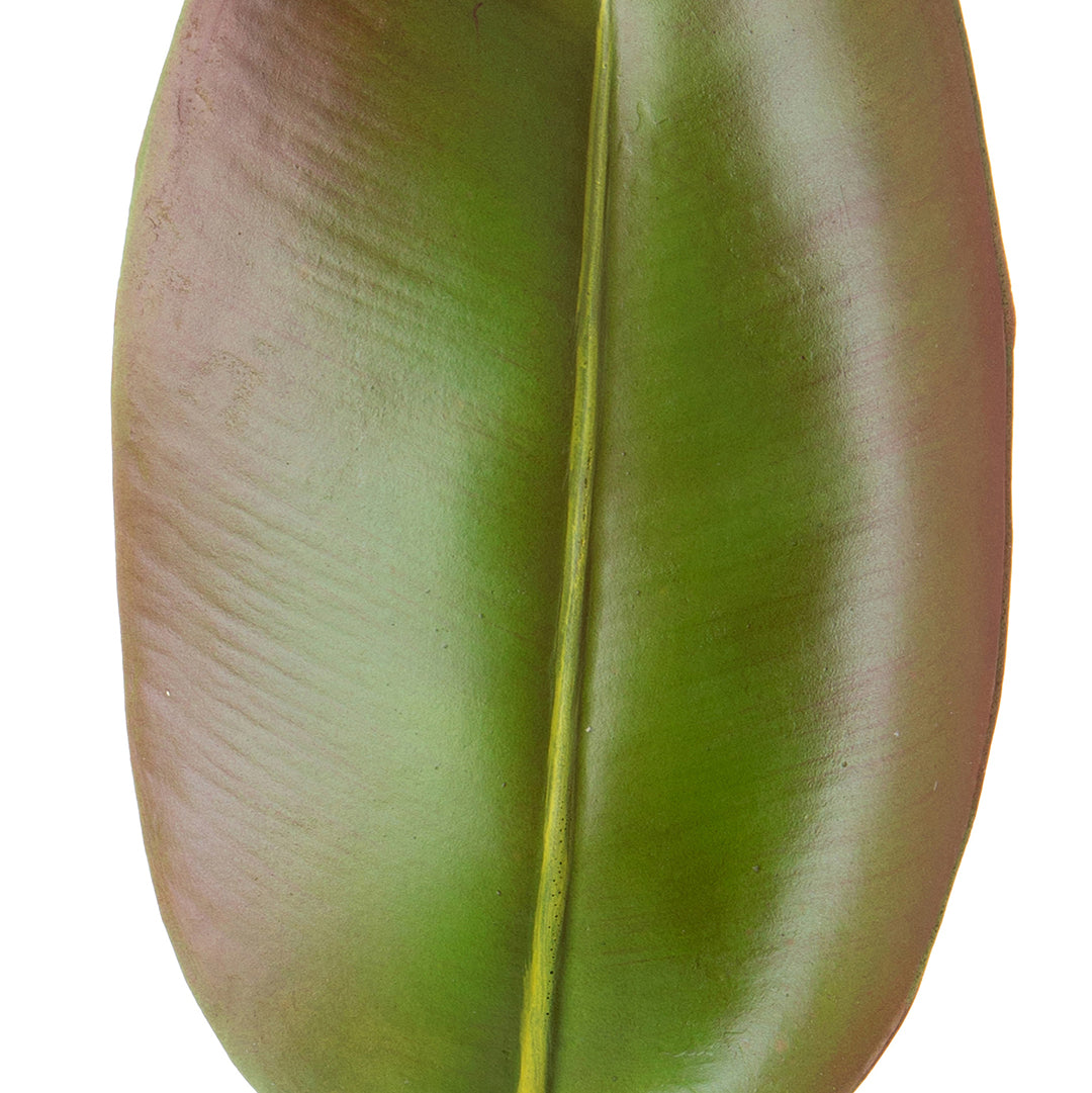 2 Pezzi • Foglia ficus artificiale • 74 cm
