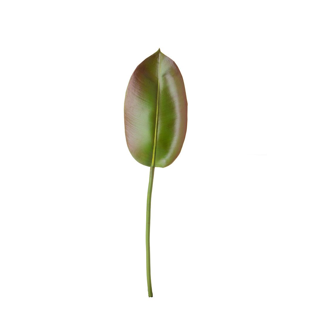 2 Pezzi • Foglia ficus artificiale • 74 cm