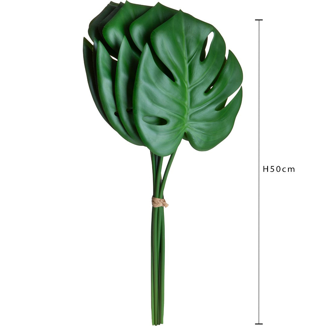 Philodendro 6 pezzi Foglie • 50 cm