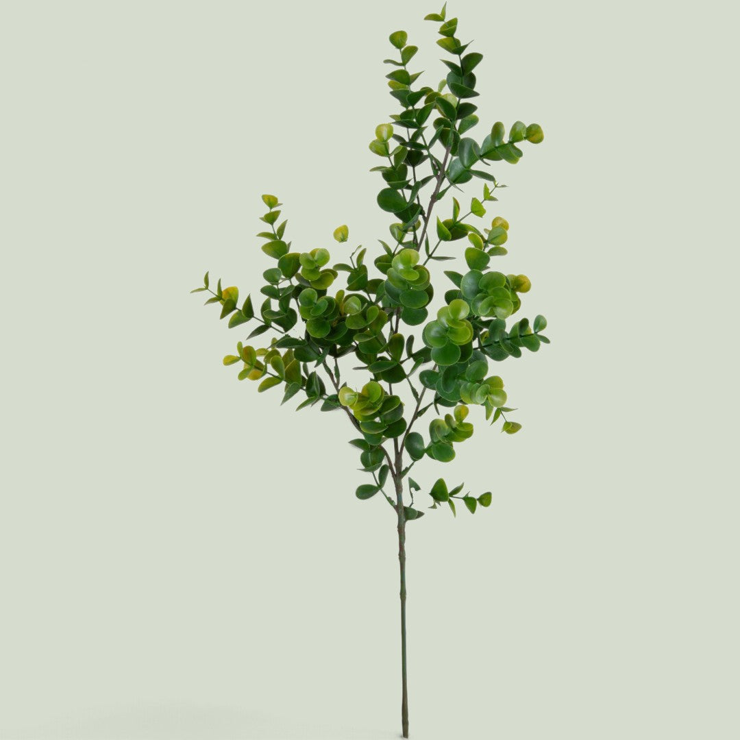 12 Pezzi • Eucalipto Ramo per 3 • 66 cm