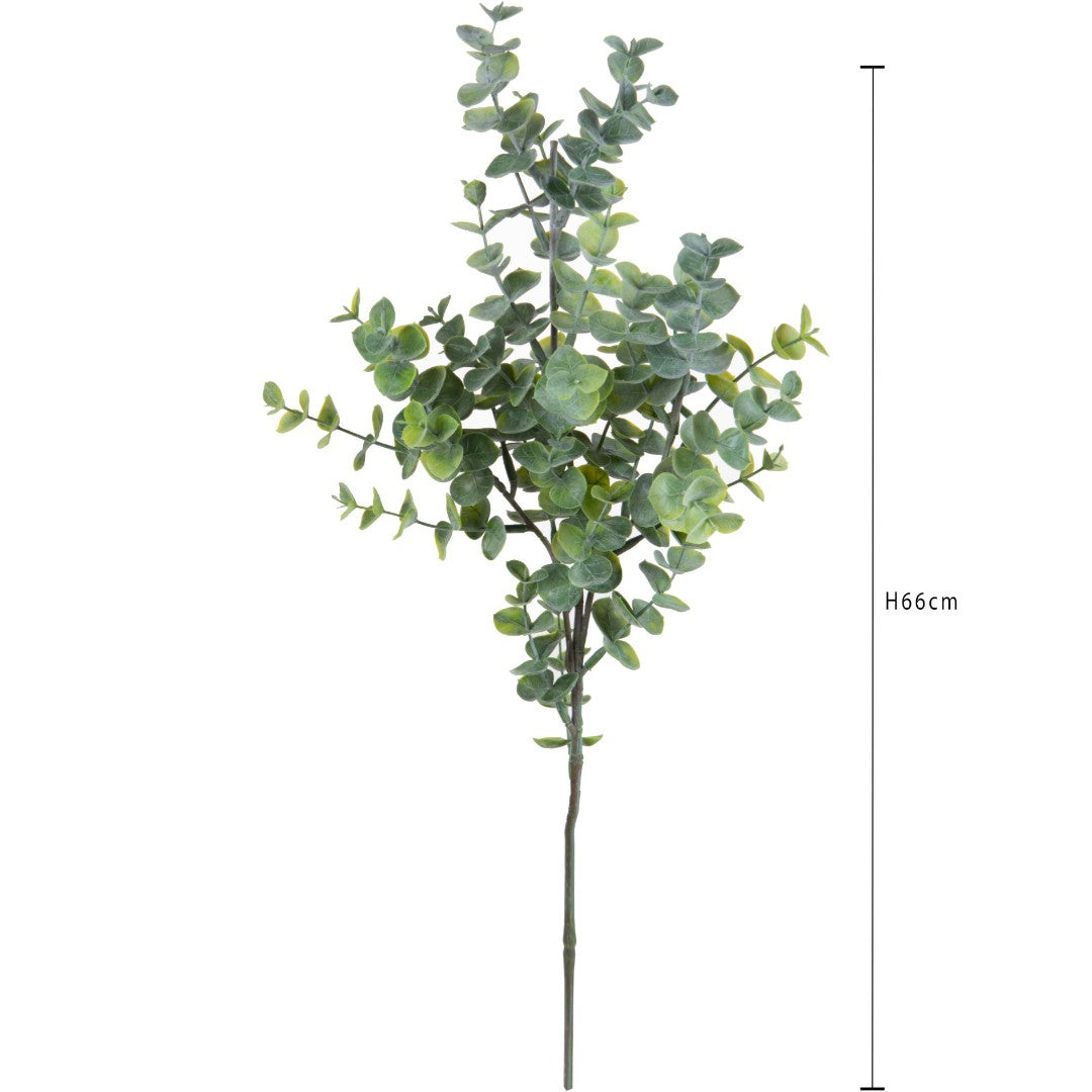Eucalipto Ramo per 3 • 66 cm