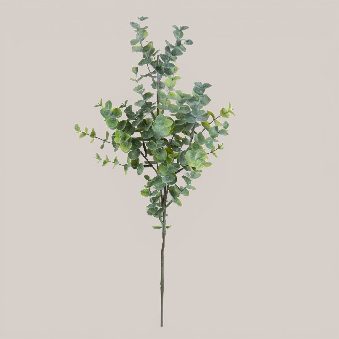 Eucalipto Ramo per 3 • 66 cm