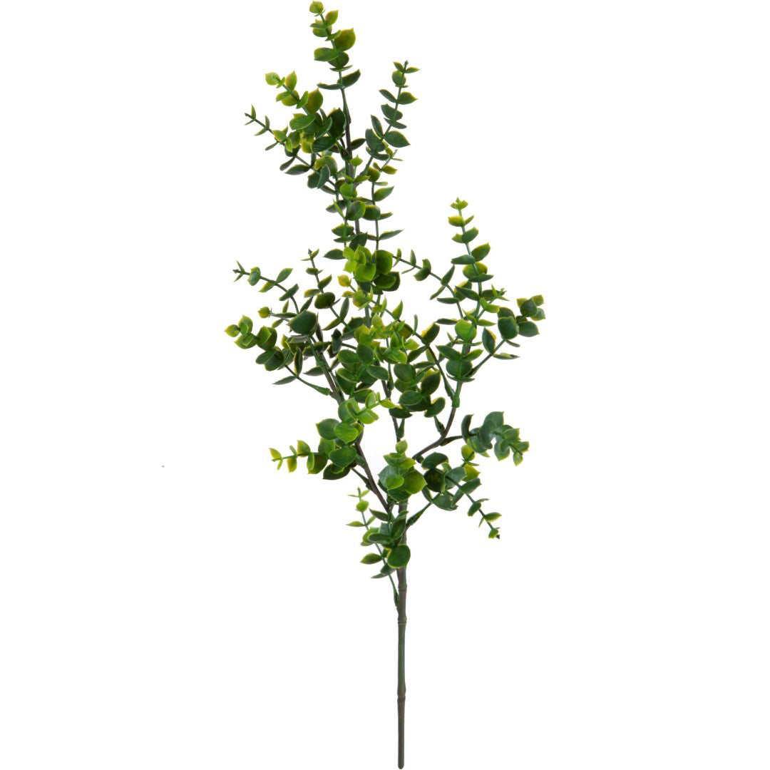 Mini Eucalipto per 3 Rami • 65 cm